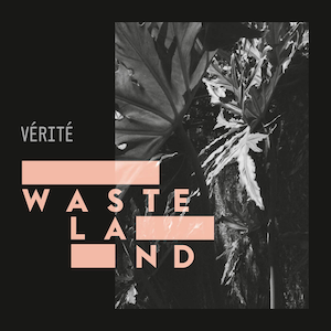 verite wasteland single cover
